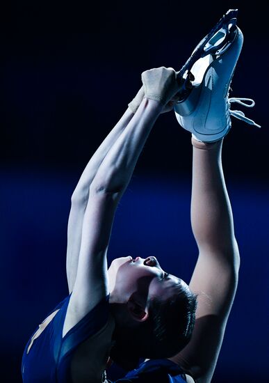 Фигурное катание. Чемпионат мира. Показательные выступления