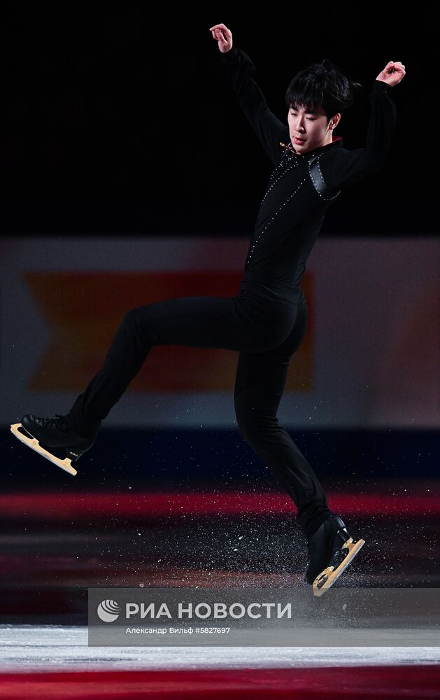 Фигурное катание. Чемпионат мира. Показательные выступления