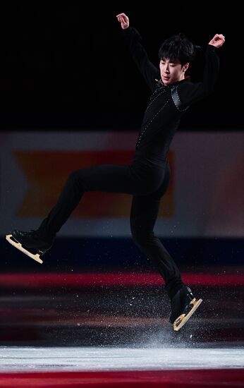 Фигурное катание. Чемпионат мира. Показательные выступления