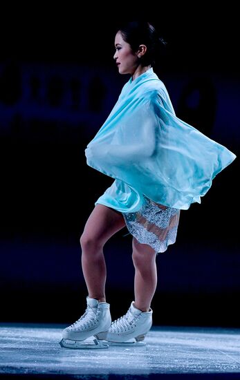 Фигурное катание. Чемпионат мира. Показательные выступления