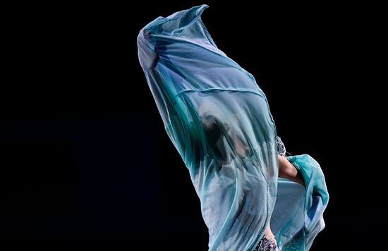 Фигурное катание. Чемпионат мира. Показательные выступления