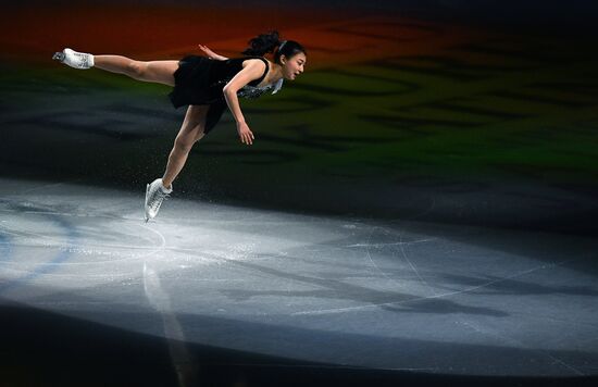 Фигурное катание. Чемпионат мира. Показательные выступления