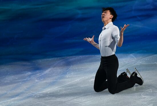 Фигурное катание. Чемпионат мира. Показательные выступления