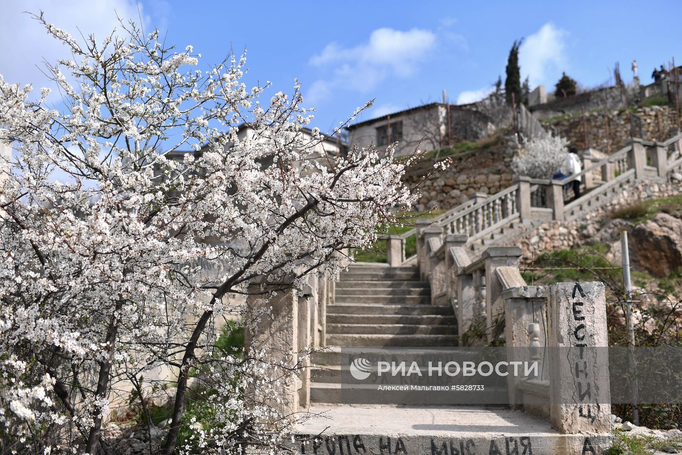 Весна в Крыму