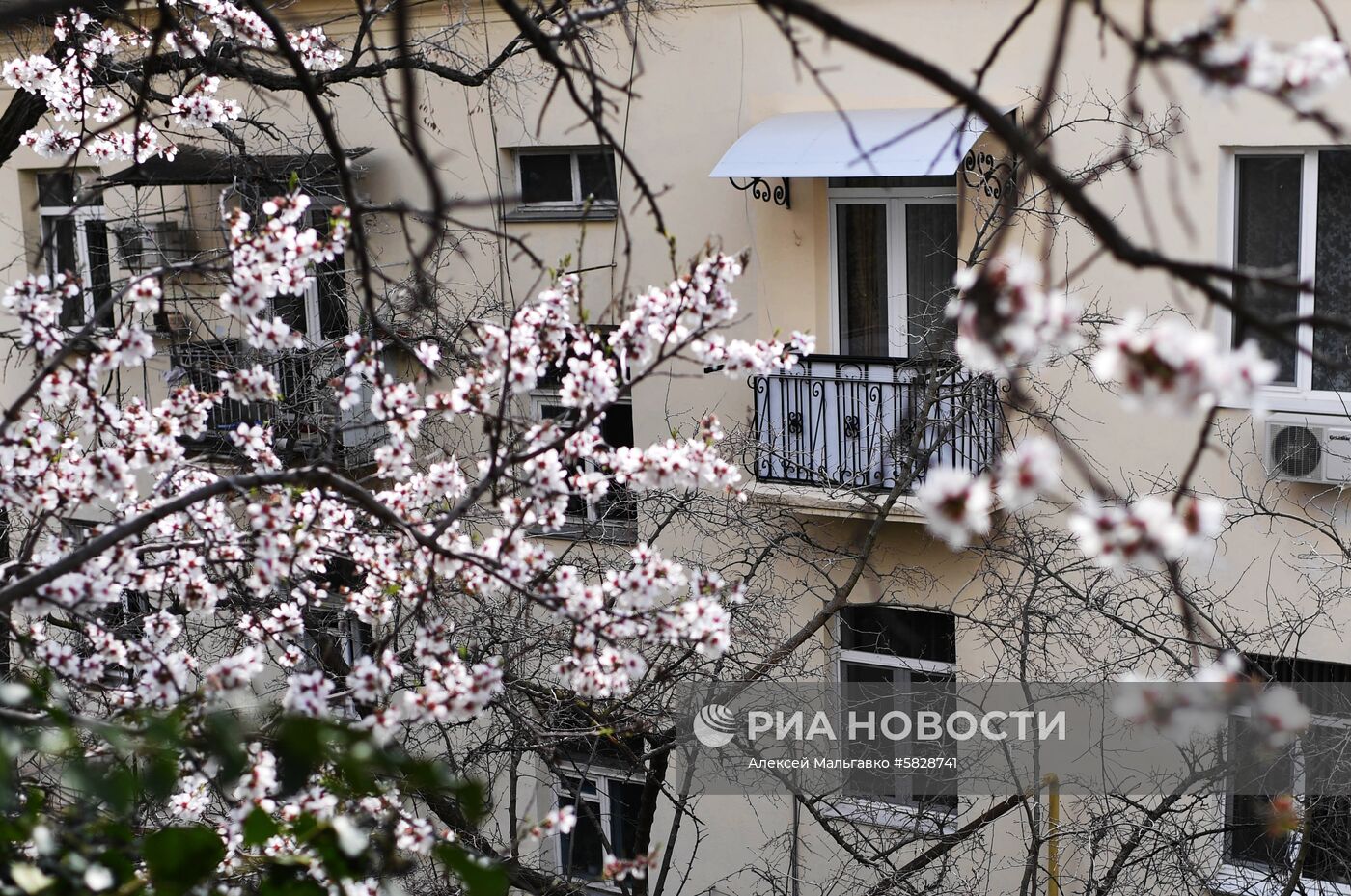 Весна в Крыму