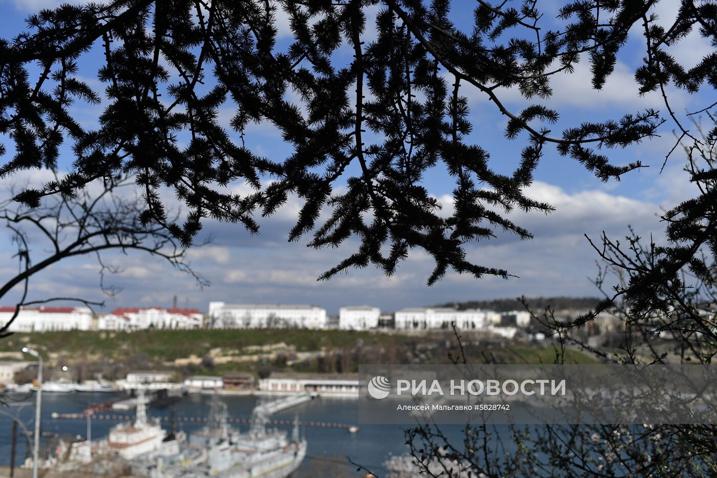 Весна в Крыму