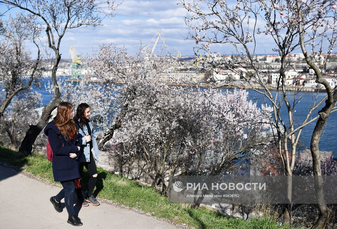 Весна в Крыму