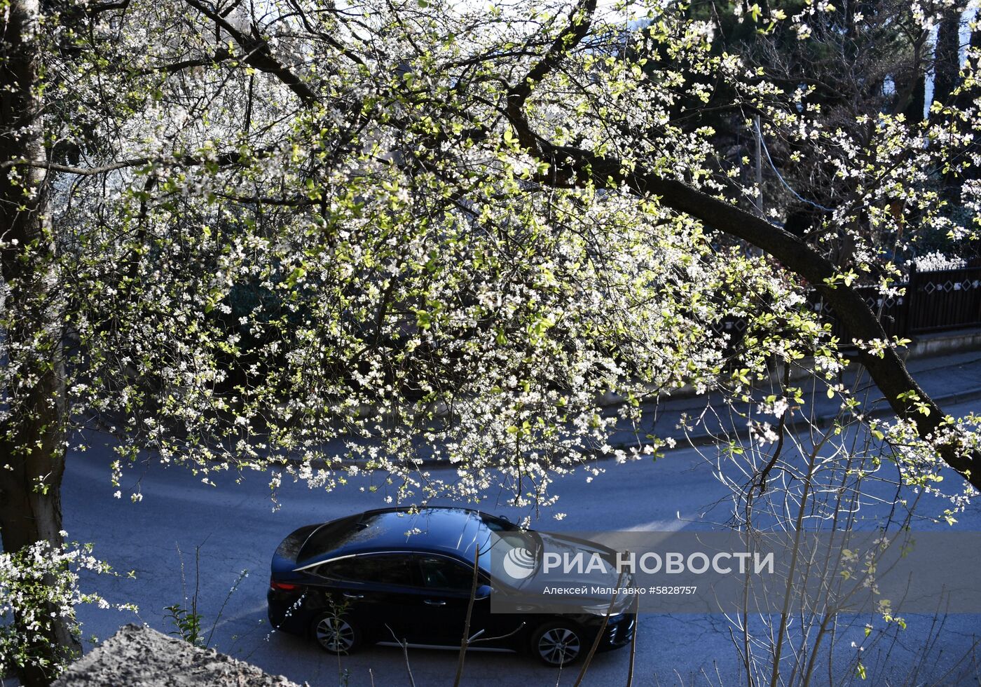 Весна в Крыму