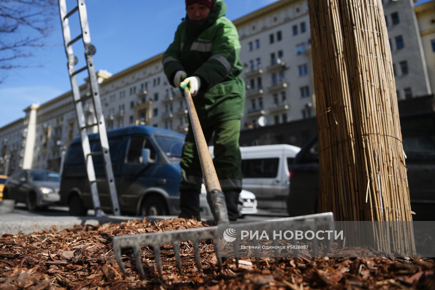 Подготовка деревьев к летнему сезону в Москве