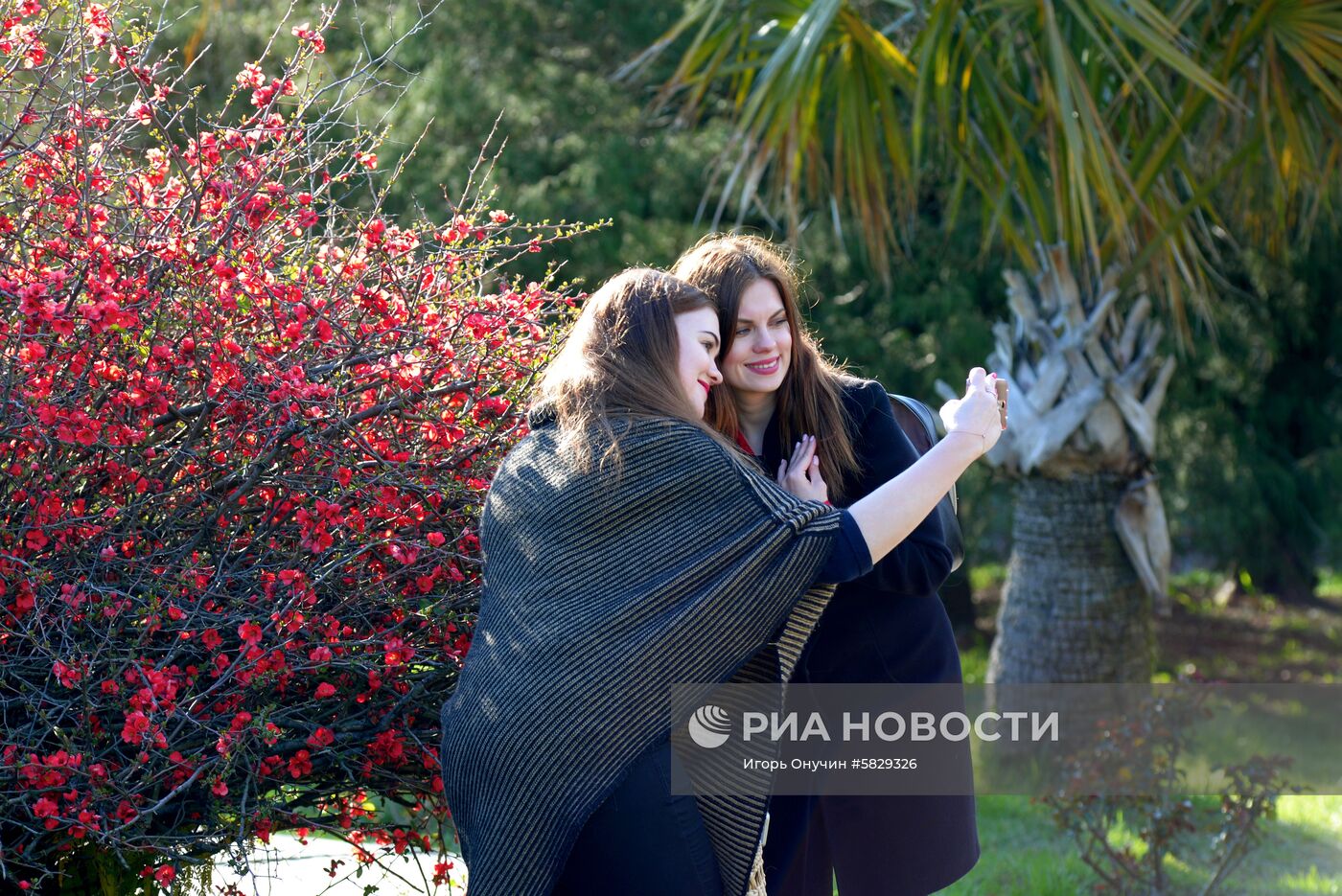 Весна в Сочи