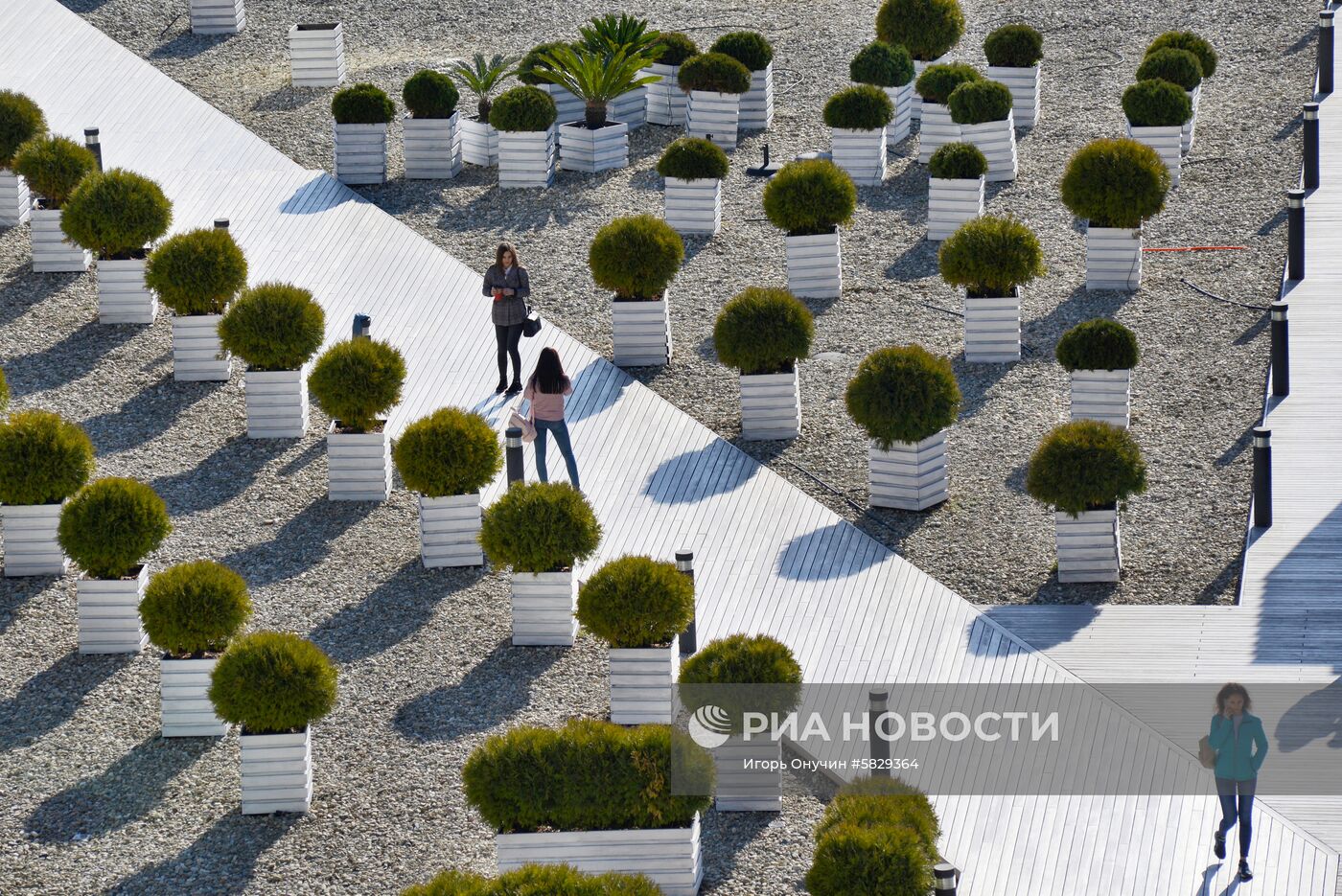 Весна в Сочи