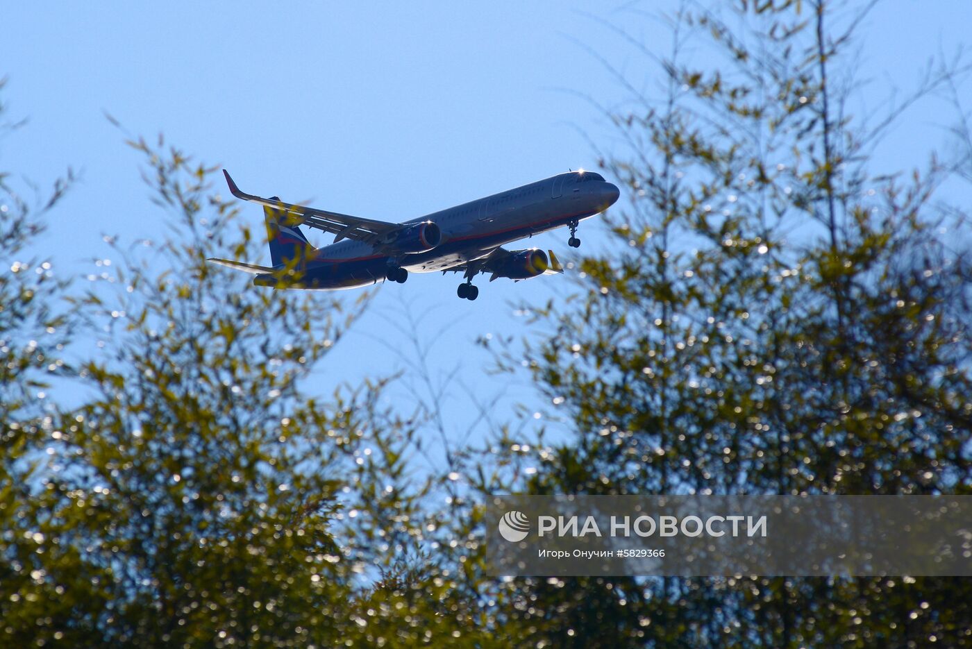 Весна в Сочи