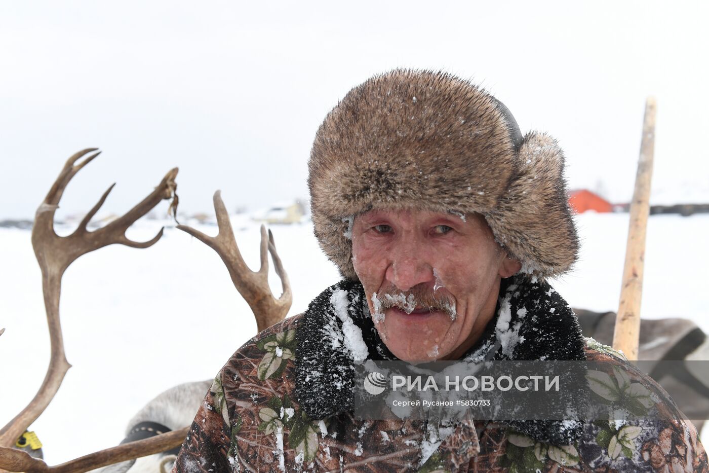 День оленевода в Надыме