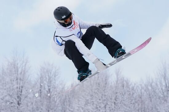 Сноуборд. Этап Кубка Европы. Биг-эйр