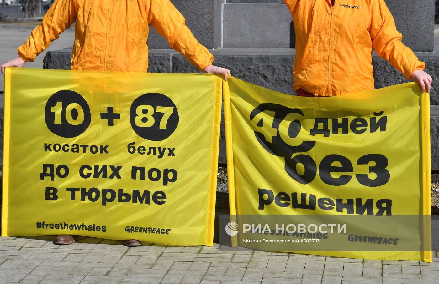 Акция в защиту белух и косаток в Москве