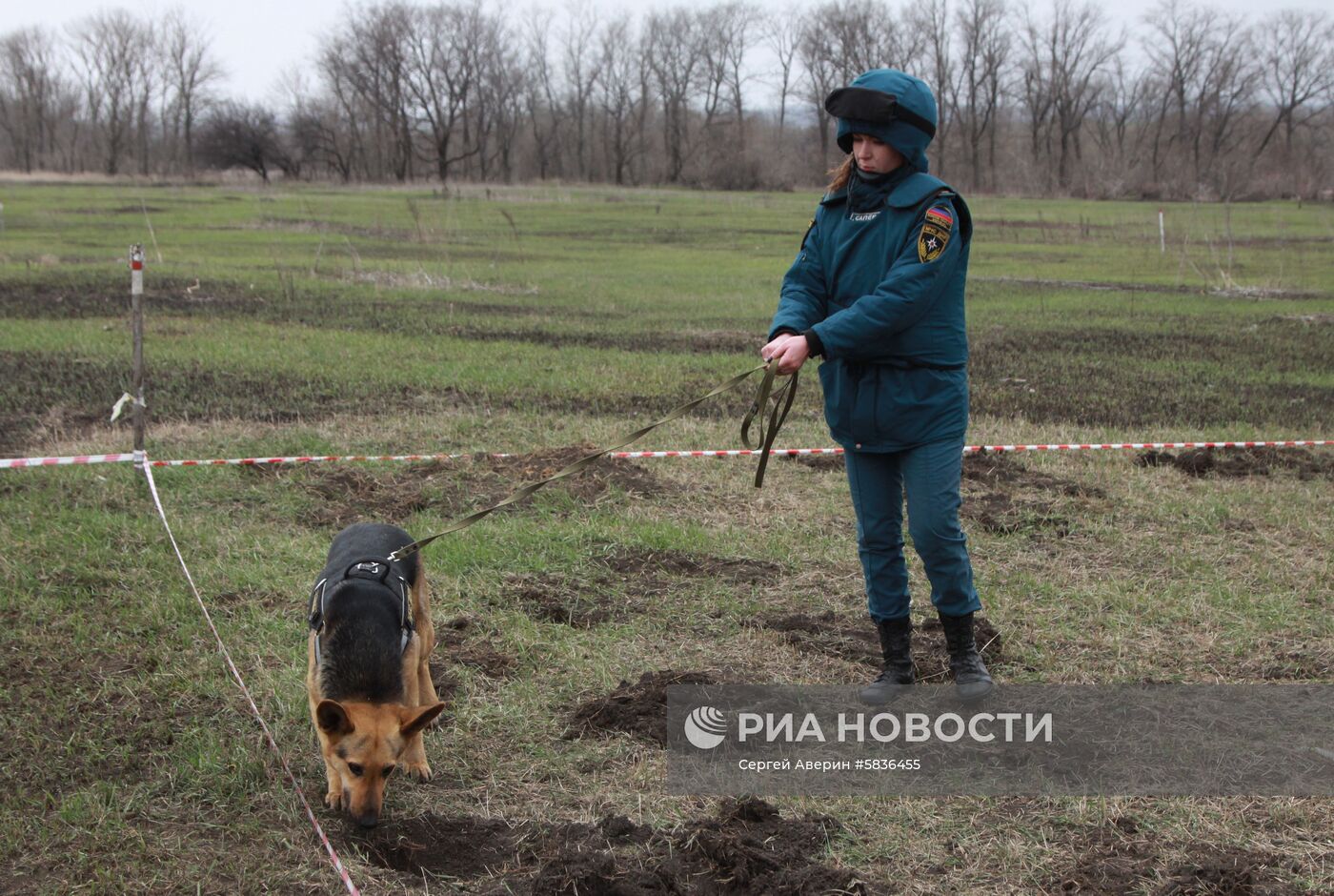 Работы по разминированию поселка Зеркальное в Донецкой области