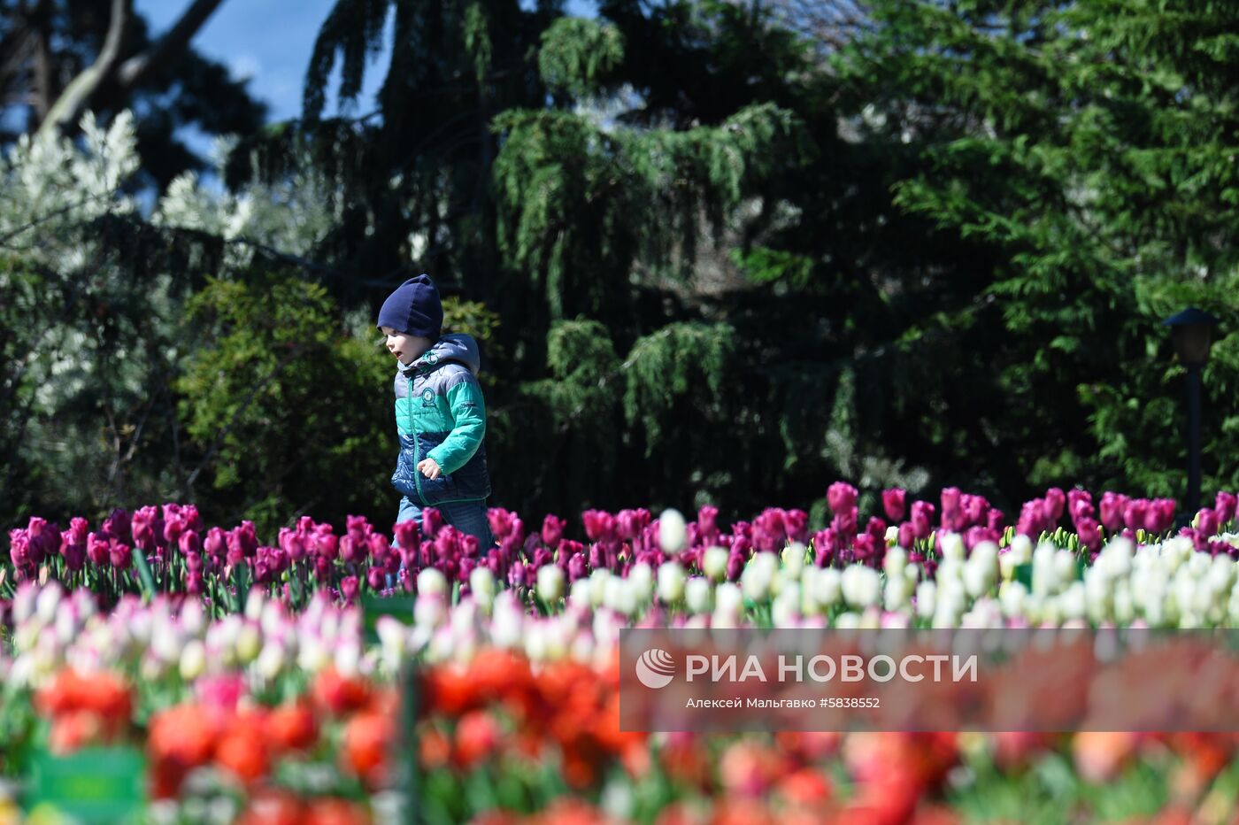 Никитский ботанический сад в Крыму