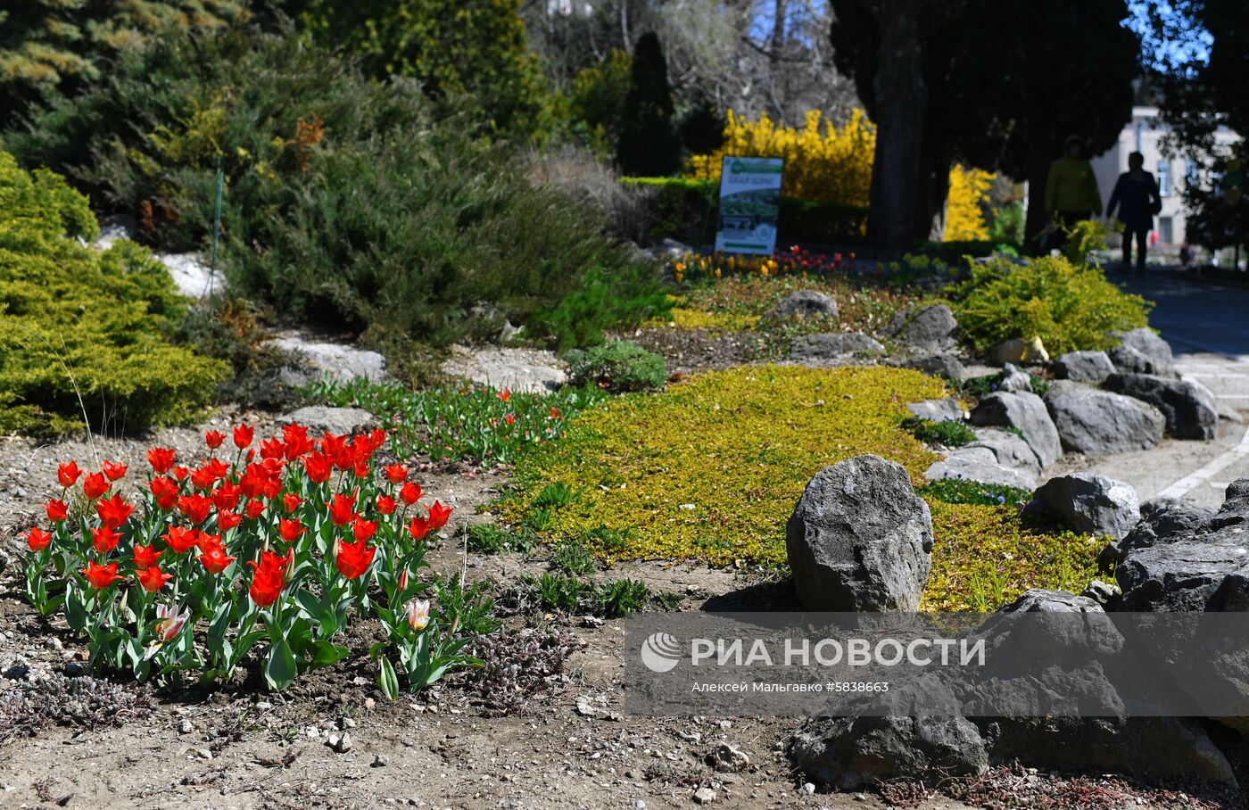 Никитский ботанический сад в Крыму