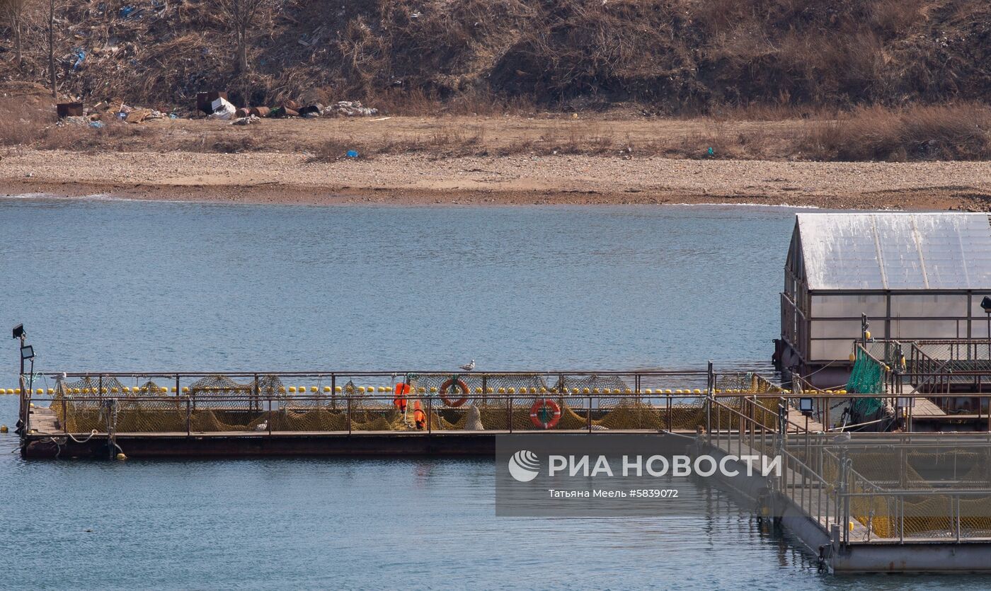 Жан-Мишель Кусто посетил "китовую тюрьму" в Приморье