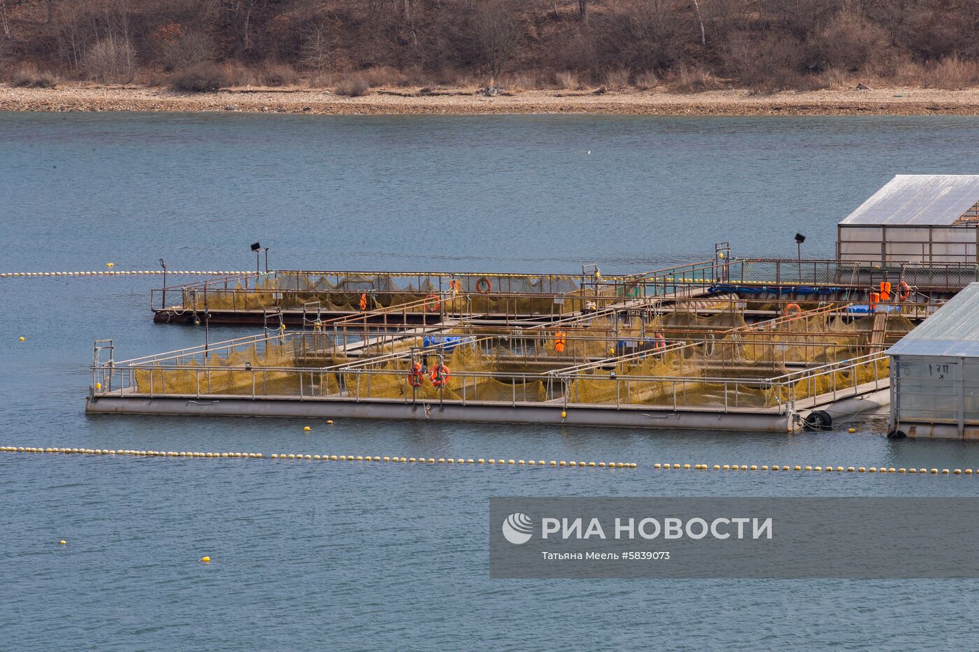 Жан-Мишель Кусто посетил "китовую тюрьму" в Приморье