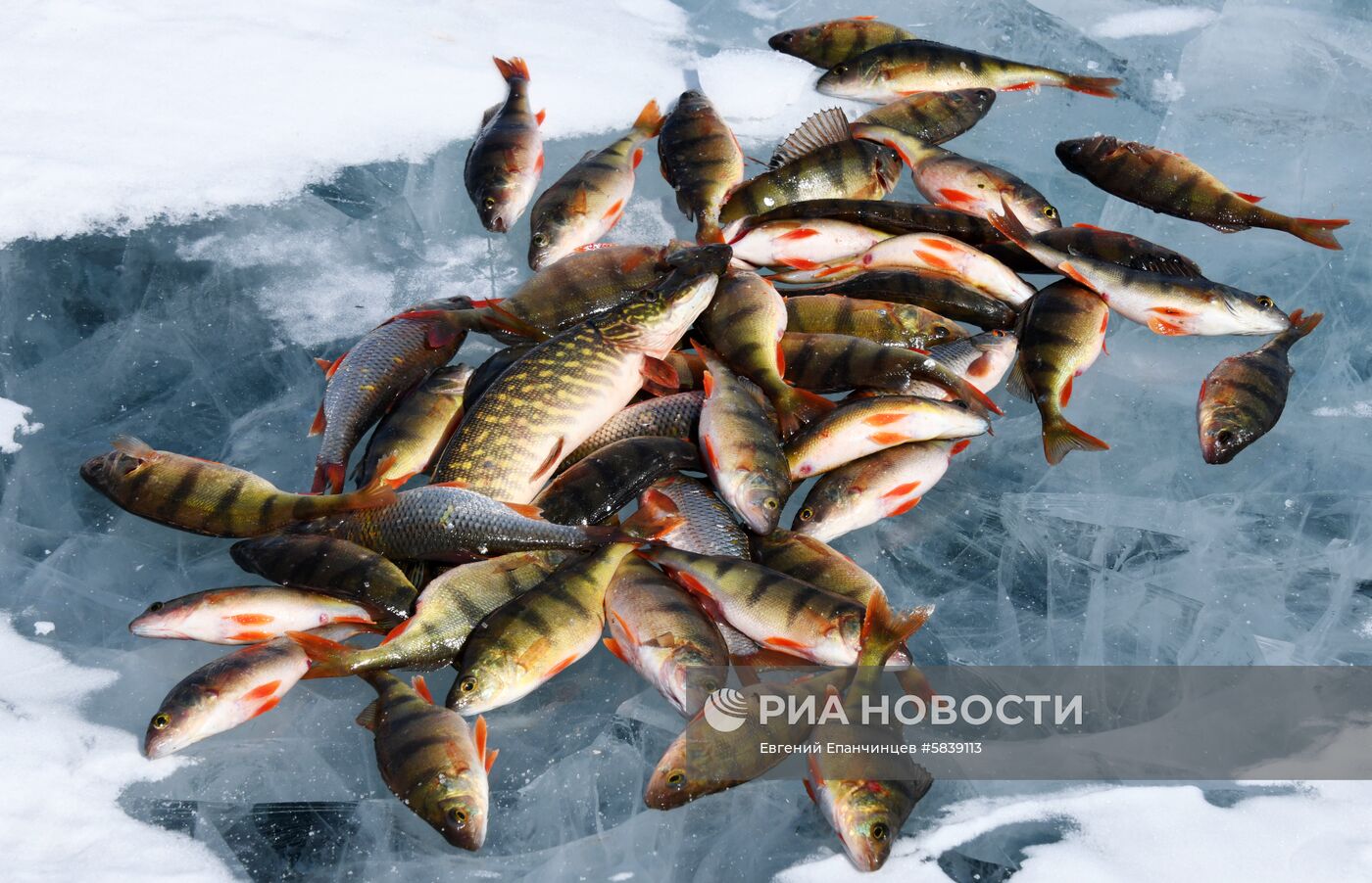 Соревнования по зимней рыбалке среди пенсионеров