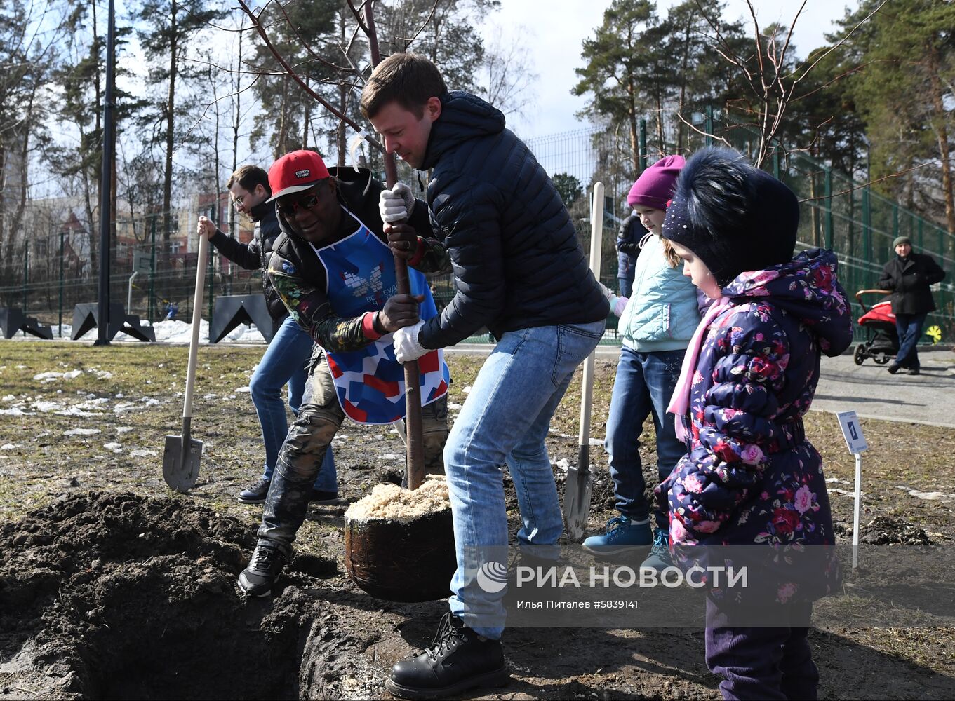 Акция "Цифровое теледерево"