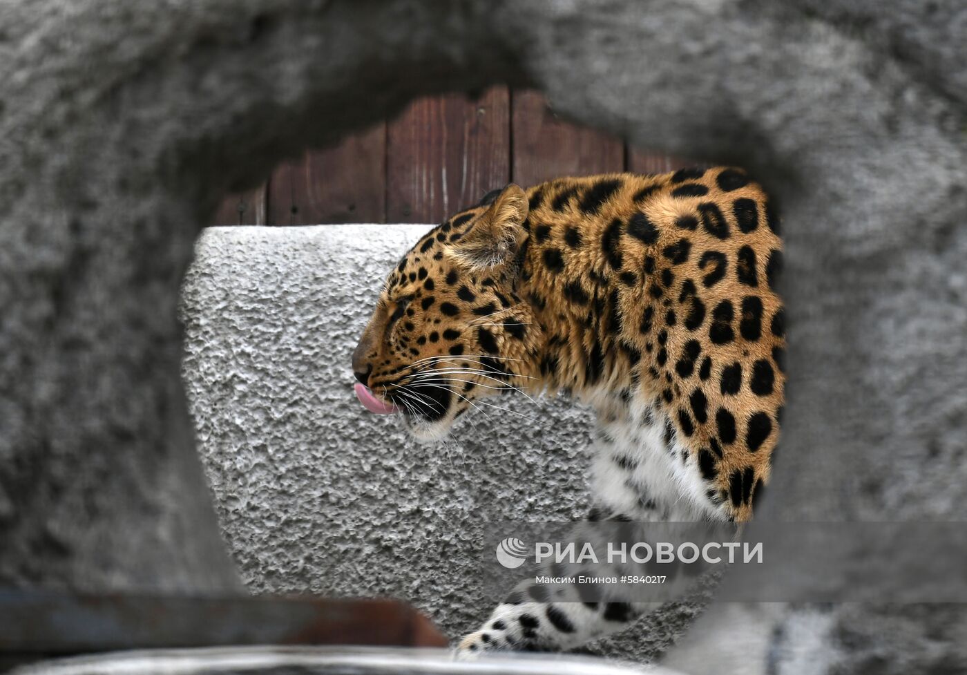 Обитатели Московского зоопарка