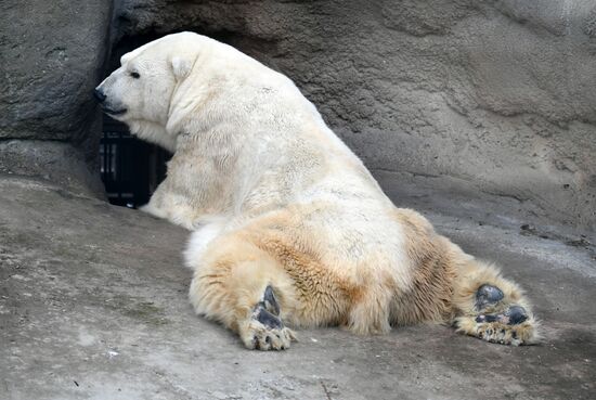 Обитатели Московского зоопарка