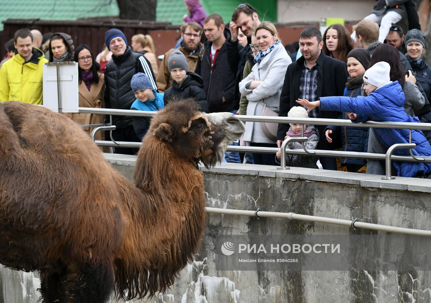 Обитатели Московского зоопарка