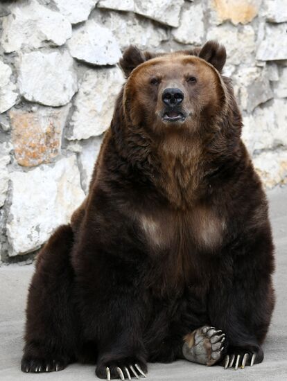 Обитатели Московского зоопарка