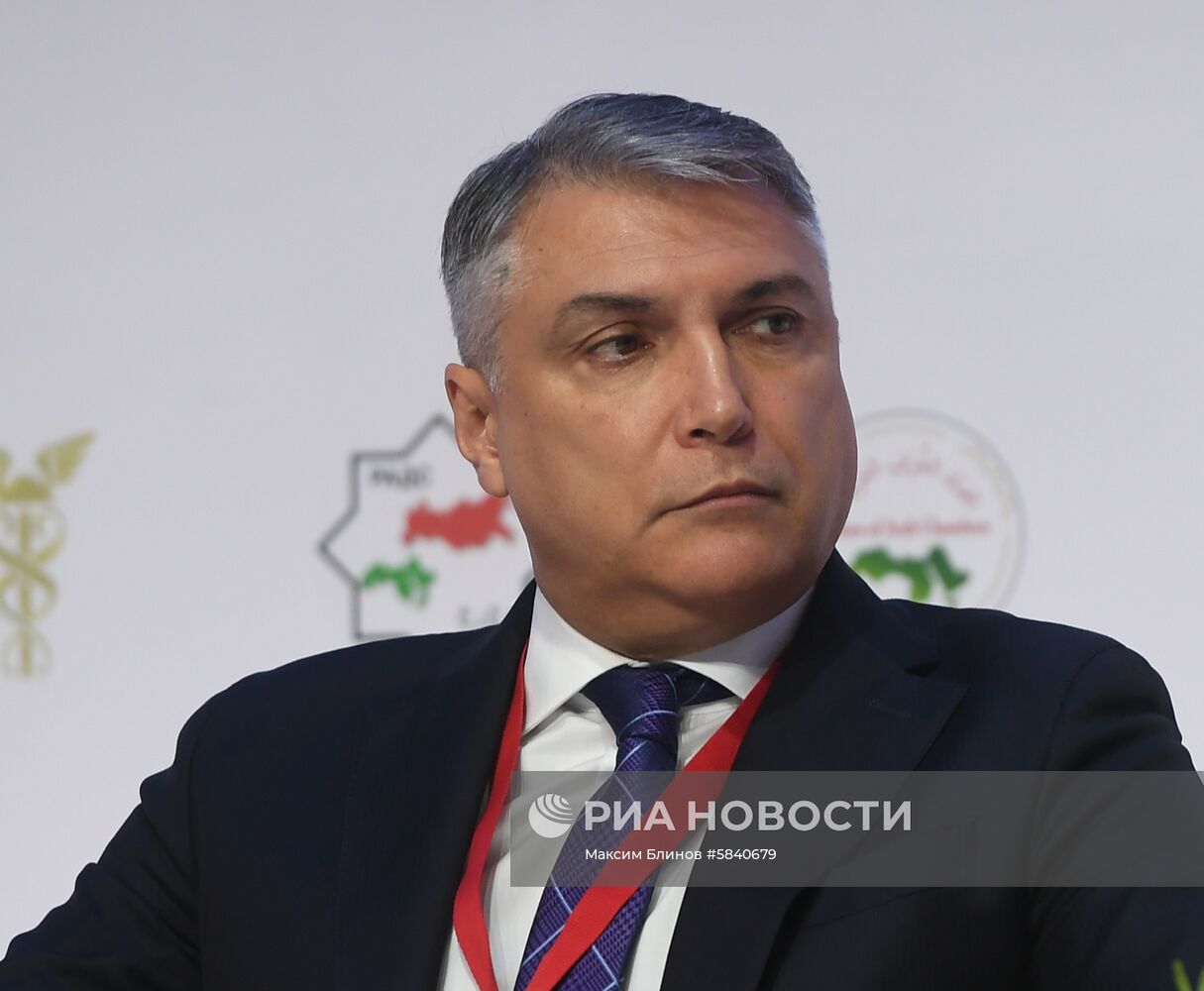 XII сессия Российско-арабского делового совета в Москве 