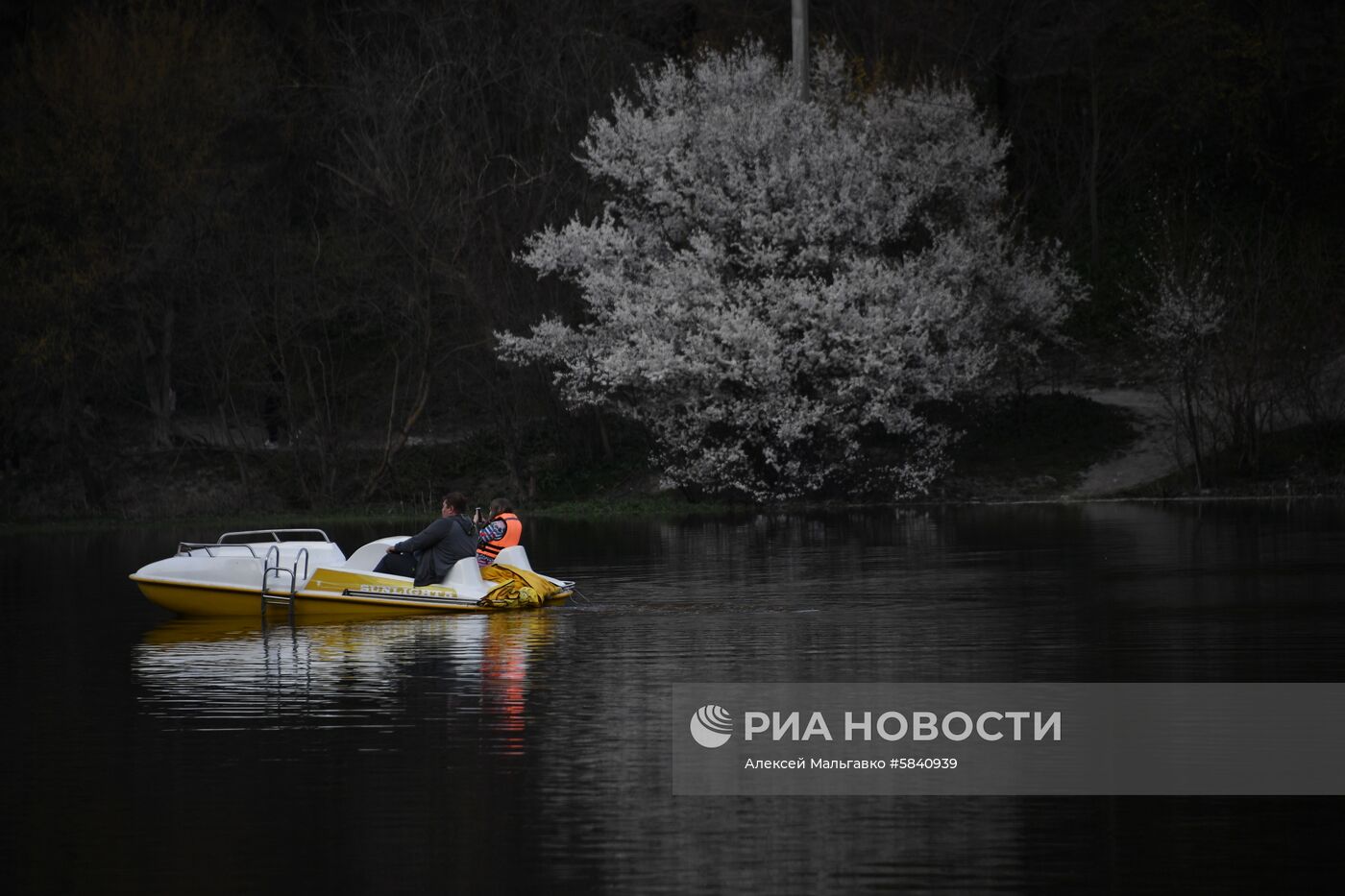 Отдых в Крыму