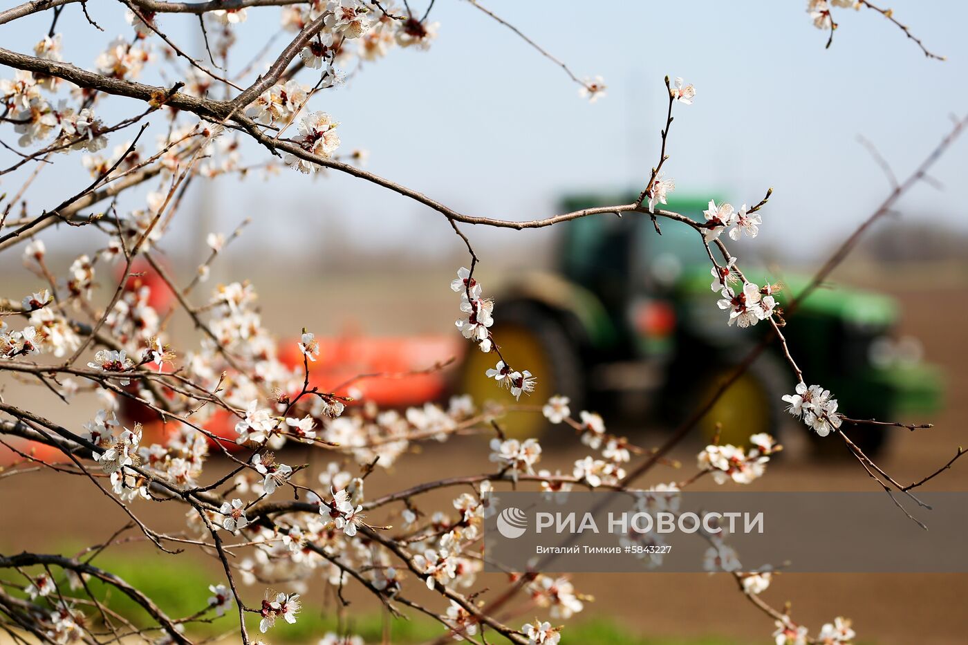 Весенняя посевная в Краснодарском крае