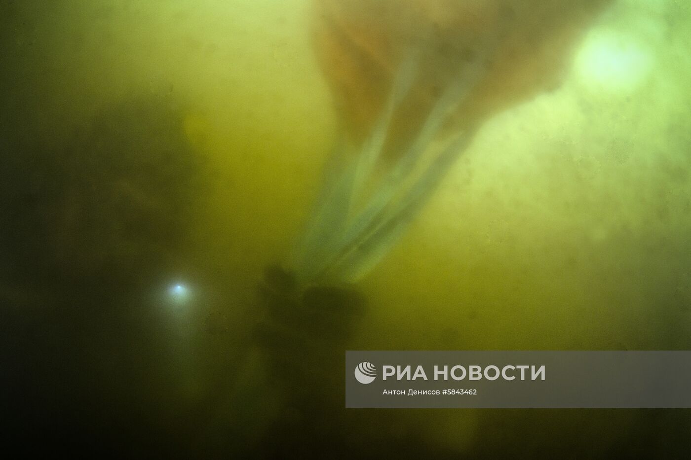 Открытый чемпионат "Московские водолазы"