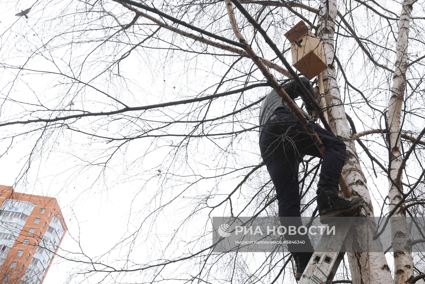 Общегородской субботник в Москве