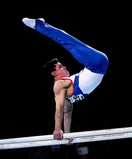 Спортивная гимнастика. Чемпионат Европы. Отдельные снаряды. Второй день