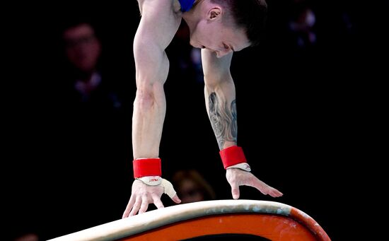 Спортивная гимнастика. Чемпионат Европы. Отдельные снаряды. Второй день