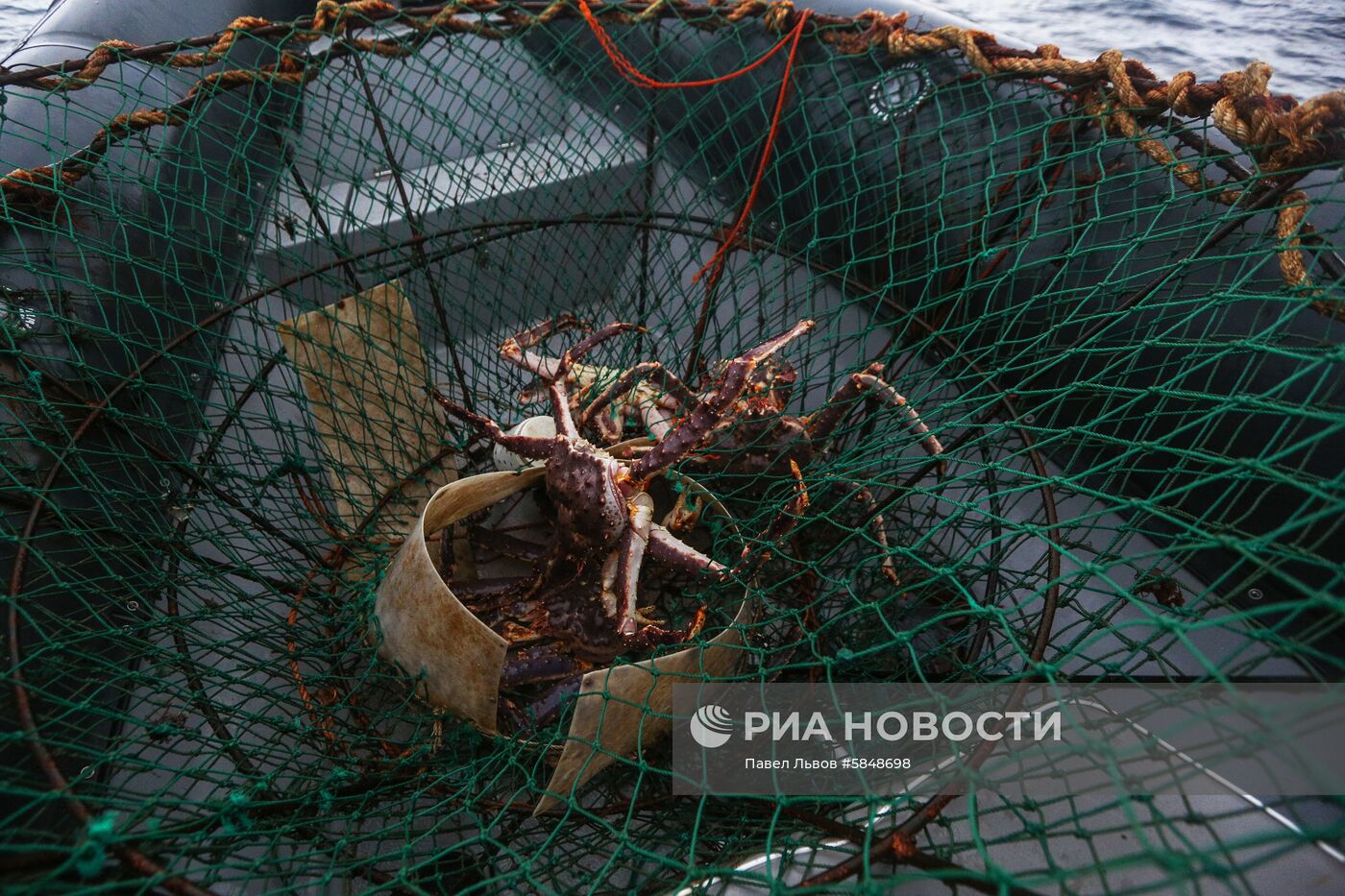 Рейд пограничного управления ФСБ России по поиску браконьеров в Баренцевом море