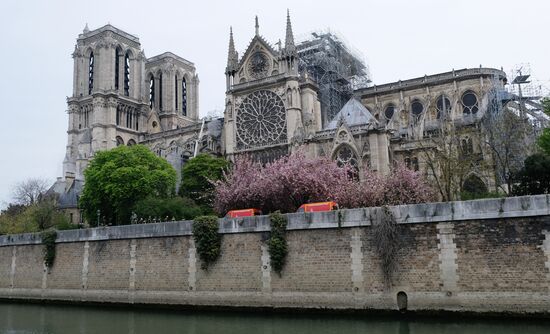 Последствия пожара в соборе Парижской Богоматери