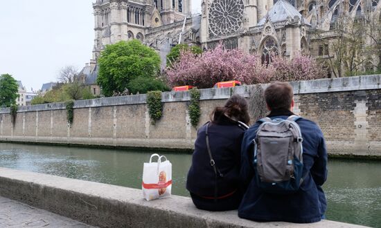 Последствия пожара в соборе Парижской Богоматери