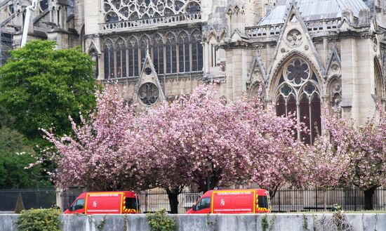 Последствия пожара в соборе Парижской Богоматери