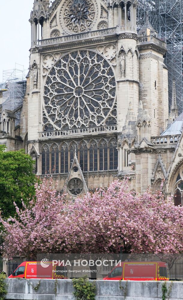 Последствия пожара в соборе Парижской Богоматери