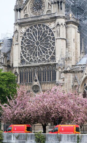 Последствия пожара в соборе Парижской Богоматери