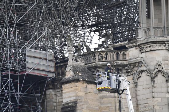 Последствия пожара в соборе Парижской Богоматери