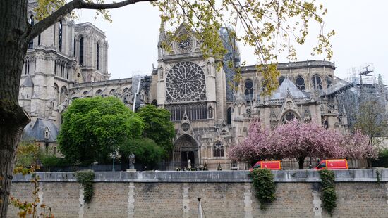 Последствия пожара в соборе Парижской Богоматери