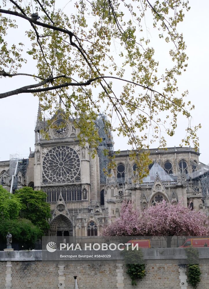 Последствия пожара в соборе Парижской Богоматери