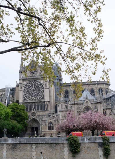 Последствия пожара в соборе Парижской Богоматери