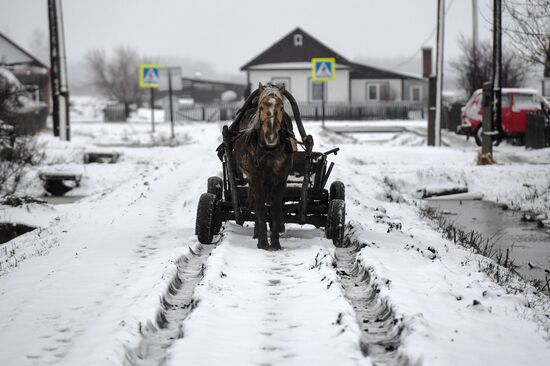 Деревня Аполлоновка в Омской области