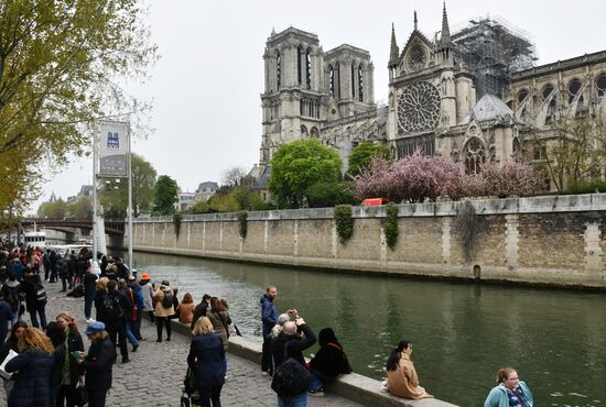Последствия пожара в соборе Парижской Богоматери