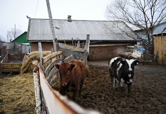 Деревня Аполлоновка в Омской области